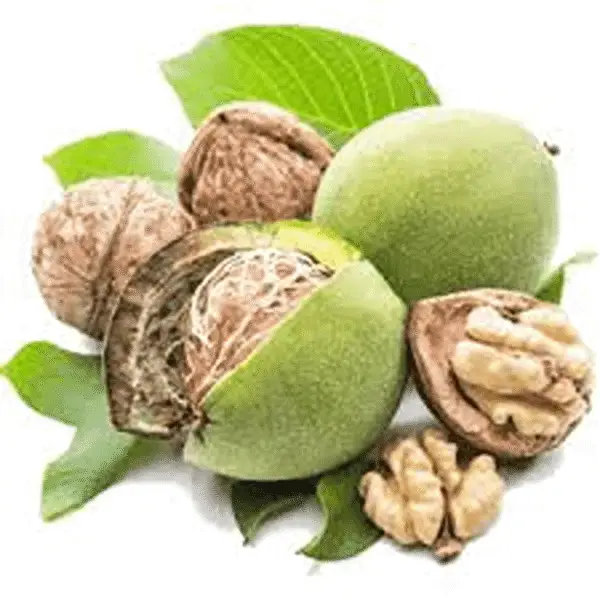 گردو سامان 1