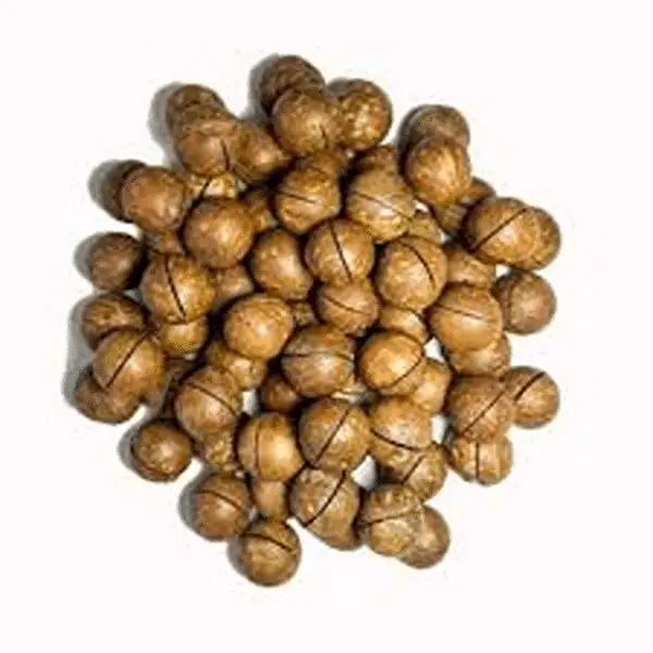 فندق