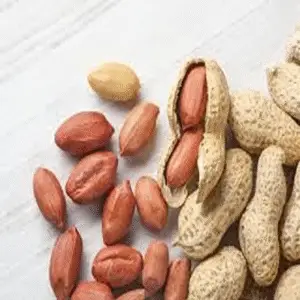 بادام زمینی